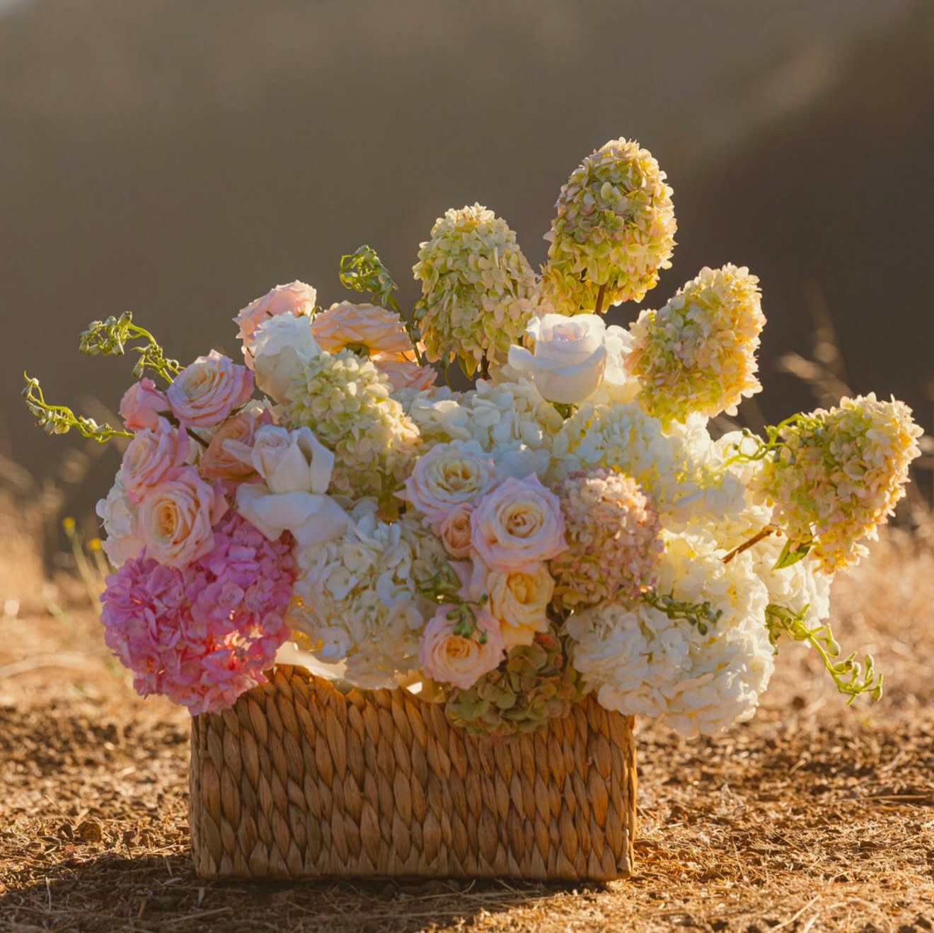 Beautiful proposal baskets. 🧺🌸🤍 💍

#flowers #blooms #bloomsinribbon #rosevilleflorist #flowershop